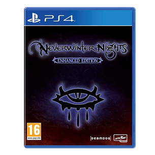 PS4 game Neverwinter Nights