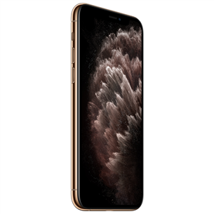 Apple iPhone 11 Pro (512 ГБ)