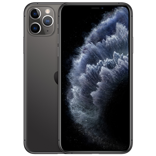 Apple iPhone 11 Pro Max (256 ГБ)