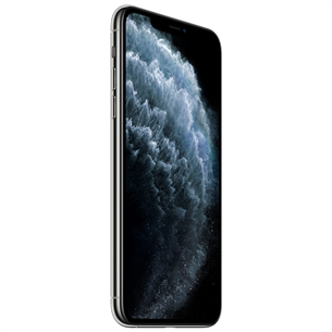 Apple iPhone 11 Pro Max (256 ГБ)
