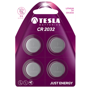 4 x Battery Tesla CR2032