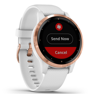 Смарт-часы Garmin Vivoactive 4S