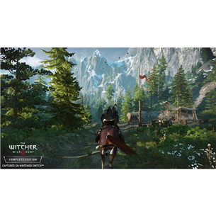Switch game Witcher 3: Wild Hunt