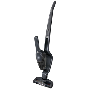 Cordless vacuum cleaner Electrolux Ergorapido