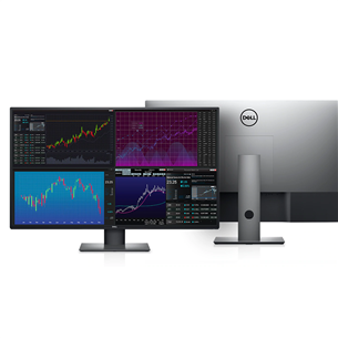 Dell U4320Q, 43'', 4K UHD, LED IPS, gray/black - Monitor