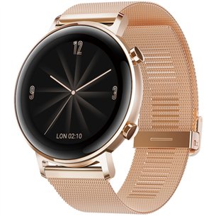 Смарт-часы Huawei Watch GT 2 (42 мм) 55024610
