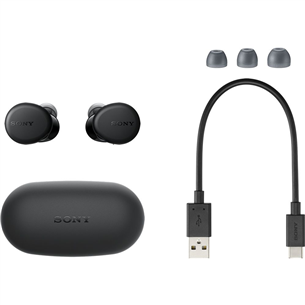 Sony WF-XB700, black - True-wireless Earbuds