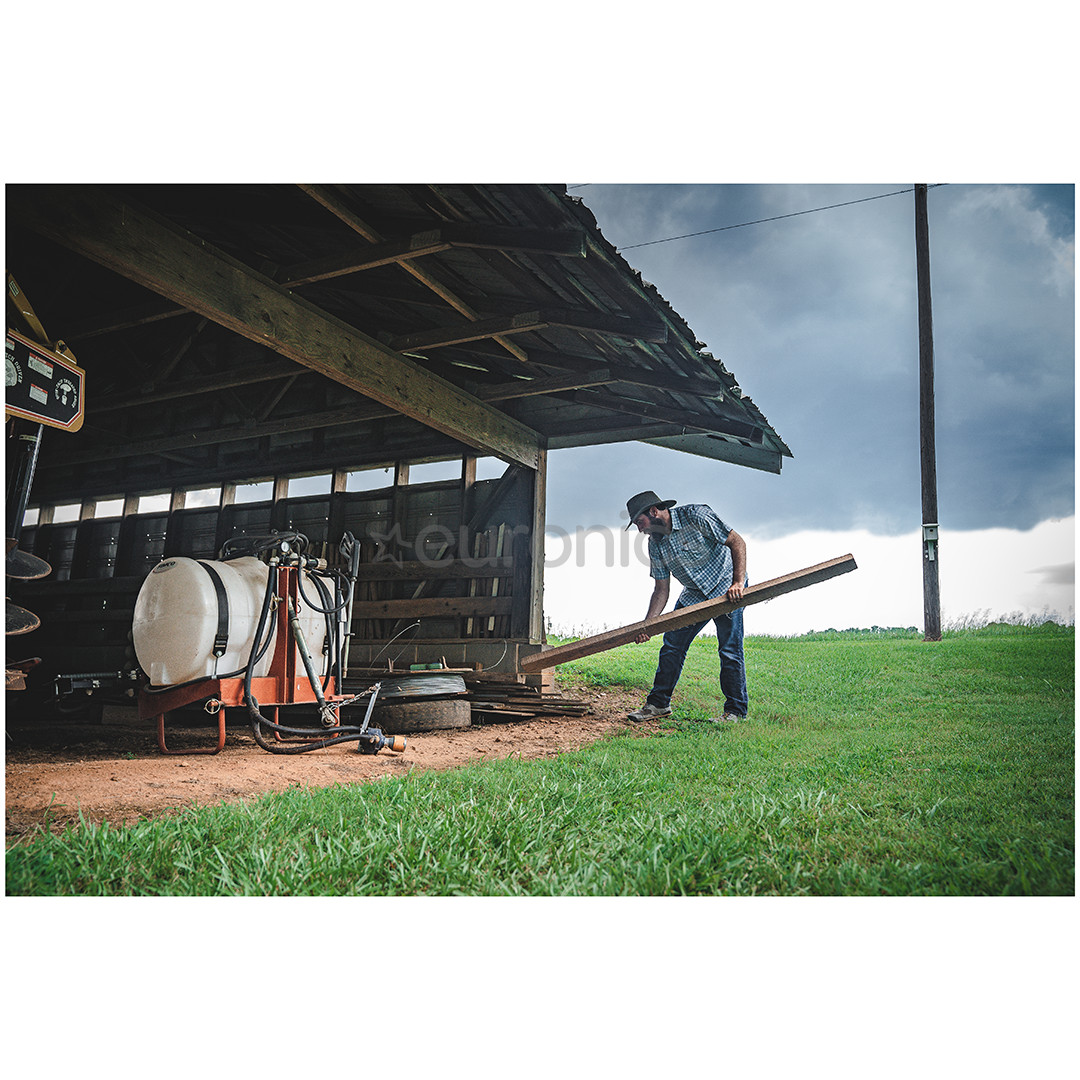 Thermacell MR300, zaļa - Odu un knišļu atbaidītājs