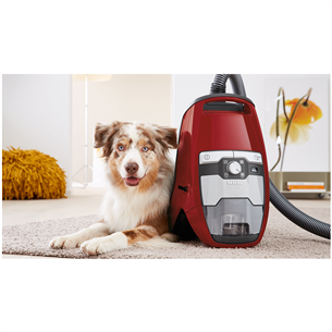 Miele Blizzard CX1 Cat & Dog PowerLine, 890 W, bagless, red - Vacuum cleaner