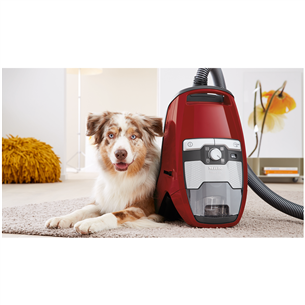 Miele Blizzard CX1 Cat & Dog PowerLine, 890 W, bez maisiņa, sarkana - Putekļu sūcējs