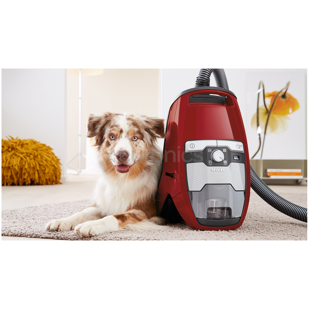 Miele Blizzard CX1 Cat & Dog PowerLine, 890 W, bez maisiņa, sarkana - Putekļu sūcējs