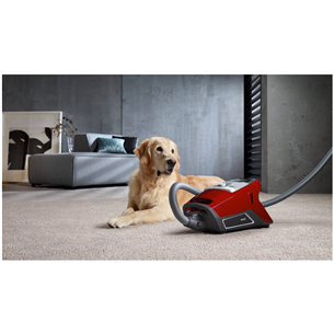 Miele Blizzard CX1 Cat & Dog PowerLine, 890 W, bez maisiņa, sarkana - Putekļu sūcējs