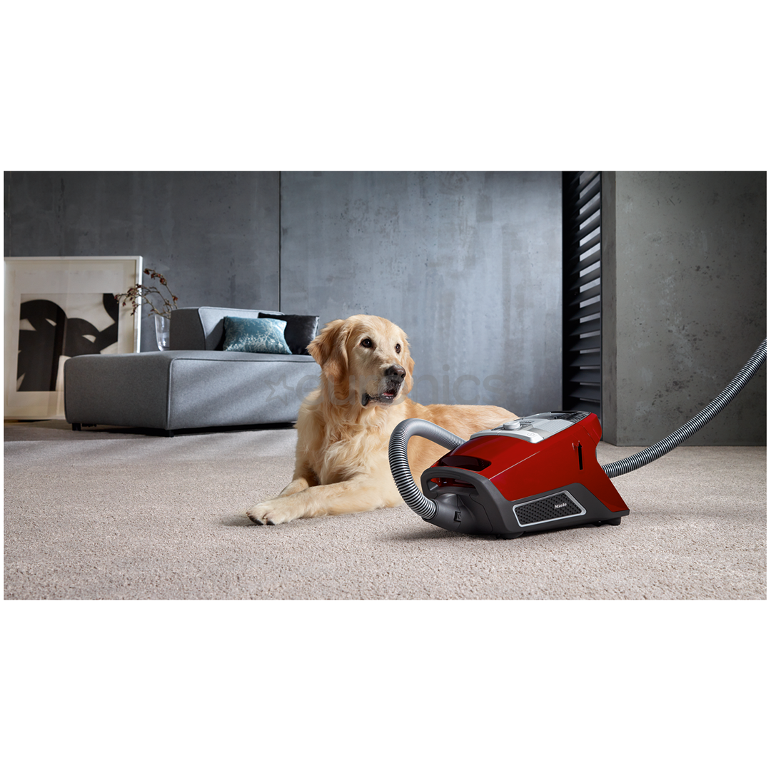 Miele Blizzard CX1 Cat & Dog PowerLine, 890 W, bez maisiņa, sarkana - Putekļu sūcējs