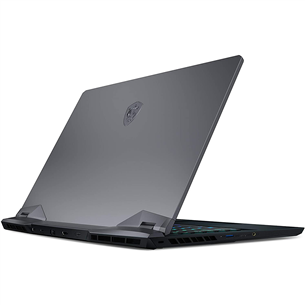 Notebook MSI GE66 Raider 10SFS