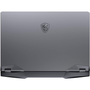 Notebook MSI GE66 Raider 10SFS