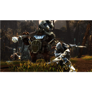 Spēle priekš Xbox One, Kingdoms of Amalur: Re-Reckoning