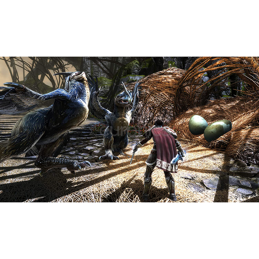 Игра Kingdoms of Amalur: Re-Reckoning для Xbox One