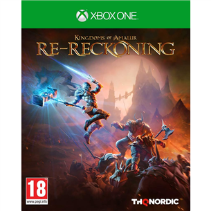 Игра Kingdoms of Amalur: Re-Reckoning для Xbox One