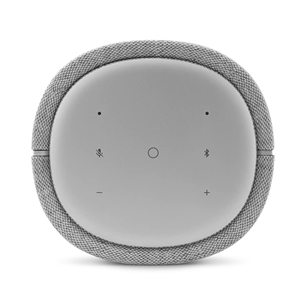 Harman Kardon Citation 100, gray - Wireless home speaker