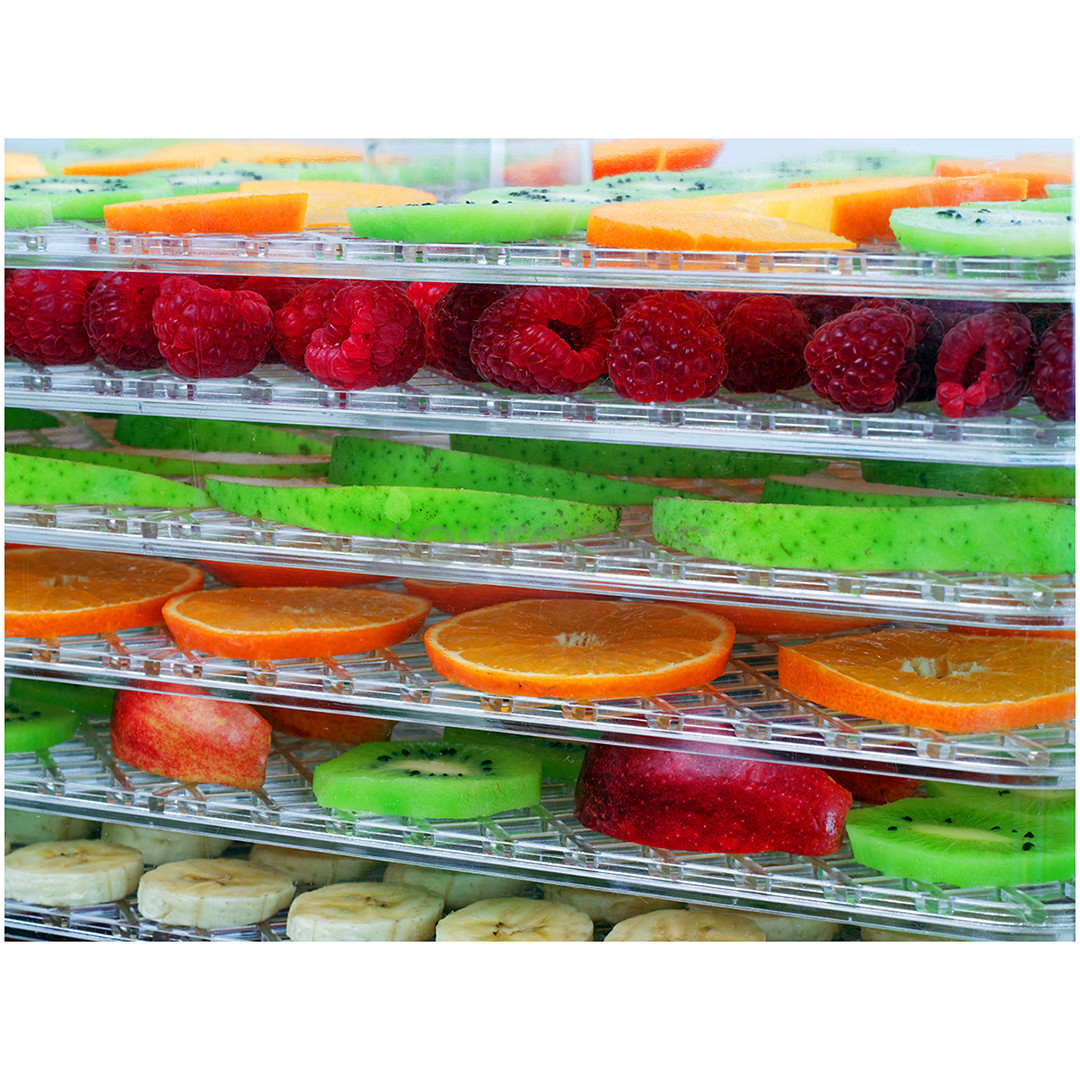 Concept, 500 Вт, серый - Сушилка для продуктов