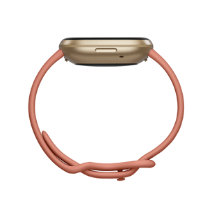 Fitbit versa 3 2025 mp3