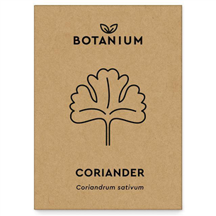Botanium - Coriander seeds 100914