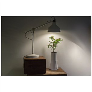 Лампа для растений Botanium (15 Вт)