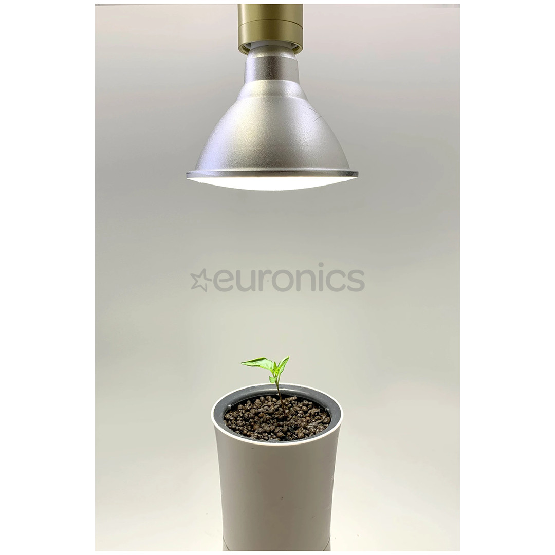 LED spuldze augiem, Botanium (15 W)