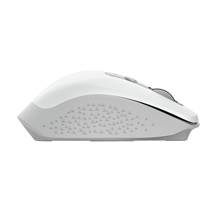 Wireless mouse Trust Ozaa