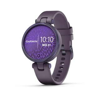 Smartwatch Garmin Lily 010-02384-12