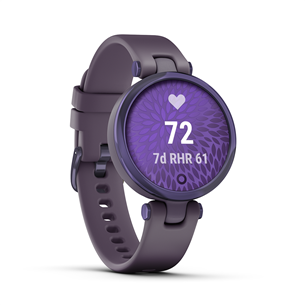 Smartwatch Garmin Lily