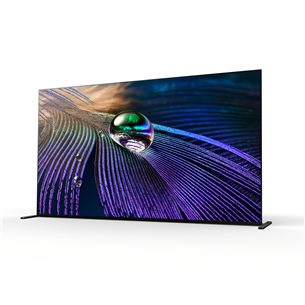 Sony OLED 4K UHD, 65", sānu statīvs, melna - Televizors