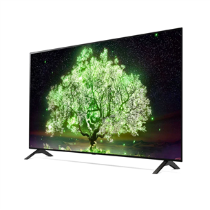 LG OLED 4K UHD, 55'', feet stand, gray - TV