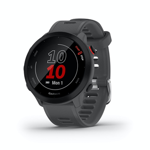 Sporta viedpulkstenis Garmin Forerunner 55 010-02562-13