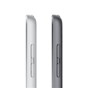 Apple iPad (2021), 10,2", 256 ГБ, WiFi, серебристый - Планшет