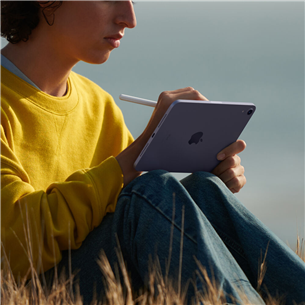 Apple iPad mini (2021), 8,3", 256 ГБ, WiFi, бежевый - Планшет