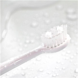 Spotlight Sonic Toothbrush, ceļojumu futrālis, balta - Elektriskā zobu birste