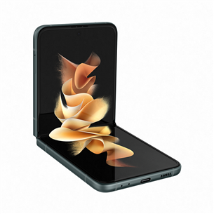 Смартфон Samsung Galaxy Z Flip 3 5G (128 ГБ) SM-F711BZGBEUE