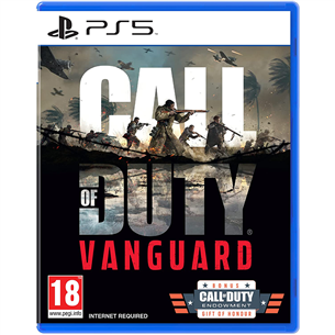 Игра Call of Duty: Vanguard для PlayStation 5 5030917295317