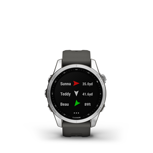 Garmin fenix 7S, 42 мм, серебристый / графитовый ремешок - Спортивные часы