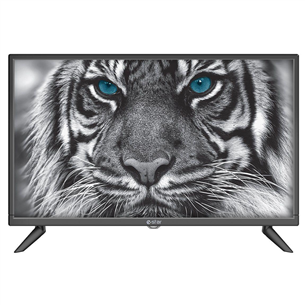 eSTAR D5T2, 24", HD, LED LCD, боковые ножки, черный - Телевизор TVRTEST00028BK
