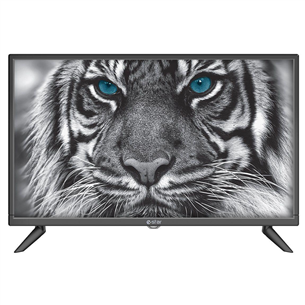 eSTAR D5T2 LED, HD, 24", sānu statīvs, melna - Televizors TVRTEST00028BK