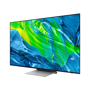 Samsung S95B, 65'', 4K UHD, OLED, central stand, gray - TV