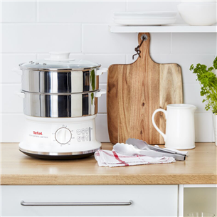 Tefal Сonvenient series, white/silver - Steamer