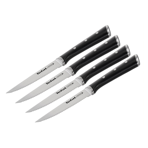 Tefal Ice Force, 4 pieces, blades length 11 cm - Knives set K232S414