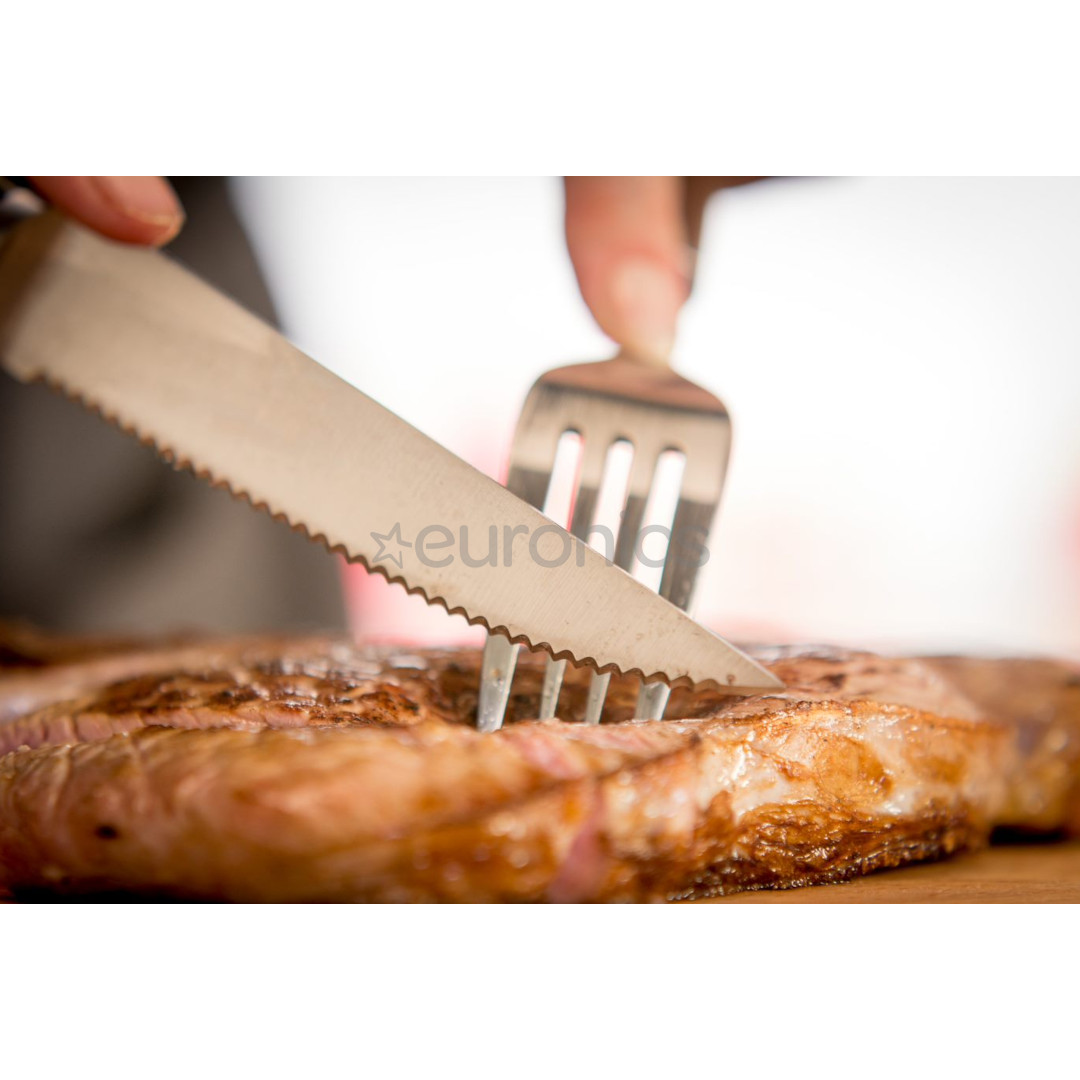 Tefal Ice Force, 4 pieces, blades length 11 cm - Knives set