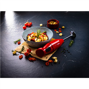 Bamix Cordless, red- Hand Blender