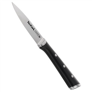 Tefal Ice Force, garums 9 cm, melna/nerūsējošā tērauda - Nazis