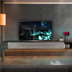 LG OLED evo C2, UHD 4K, 48", pelēka/balta - Televizors
