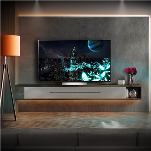LG OLED evo C2, 65'', 4K UHD, OLED, центральная подставка, серый/белый - Телевизор